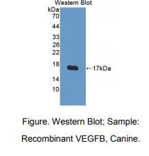 https://msimg.bioon.com/bionline/goods-no-pic.png