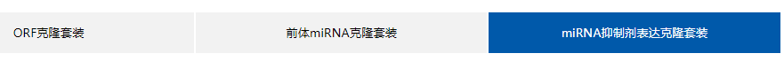 前体miRNA克隆套装