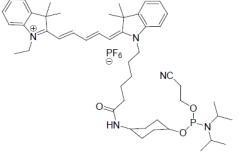 Quasar 670 Amidite (Cy5 Amidite)