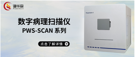 谱华森 切片（玻片） 数字病理扫描仪 PWS-SCAN系列