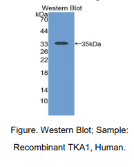 https://msimg.bioon.com/bionline/goods-no-pic.png