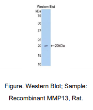 https://msimg.bioon.com/bionline/goods-no-pic.png