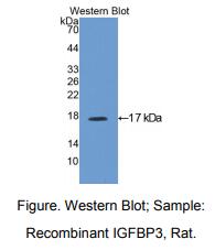 https://msimg.bioon.com/bionline/goods-no-pic.png