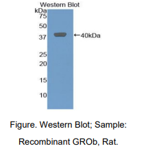 https://msimg.bioon.com/bionline/goods-no-pic.png