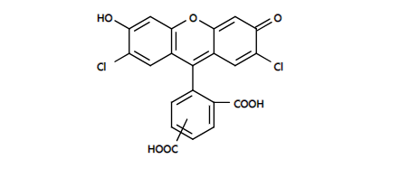 5-FAM 5-羧基荧光素 CAS 76823-03-5