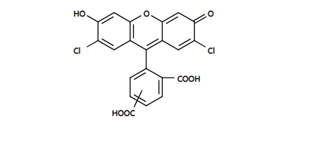 活性氧 ROS荧光探针 CDCF