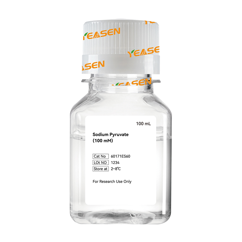 Sodium Pyruvate (100 mM) 丙酮酸鈉 (100 mM)