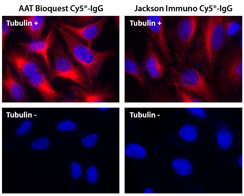 Cy5®羊抗鼠免疫球蛋白(H+L)*交叉亲和 降低干扰*