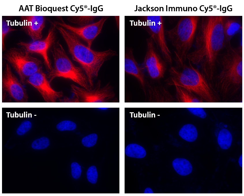 Cy3 NHS酯 CAS 146368-16-3