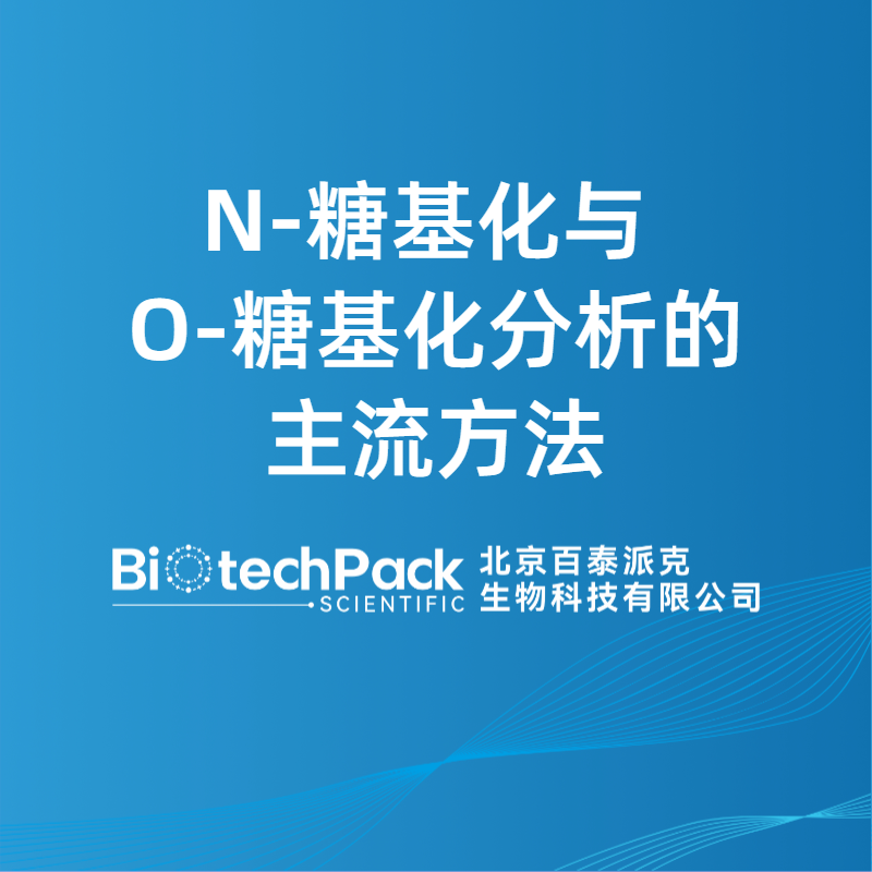 N‑糖基化与 O‑糖基化分析的主流方法