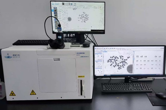 人工智能染色体核型分析系统