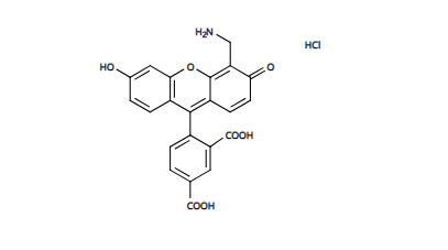 6-羧基-4’-氨甲基荧光素