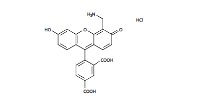 5-TAMRA 5-羧基四甲基罗丹明 CAS 91809-66-4