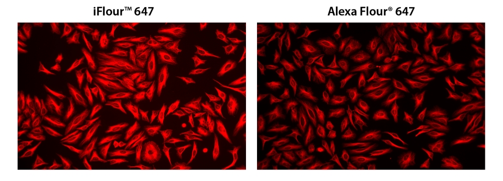 https://img.medsci.cn/e73eefcea40976357f460123cbf1e819c54e5106c9b457225be13b1cbc991aff.png