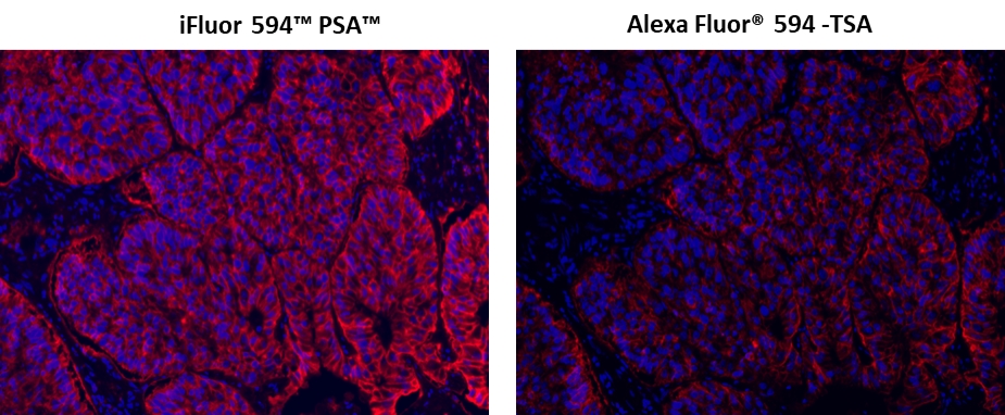 https://img.medsci.cn/e73eefcea40976357f460123cbf1e819c54e5106c9b457225be13b1cbc991aff.png