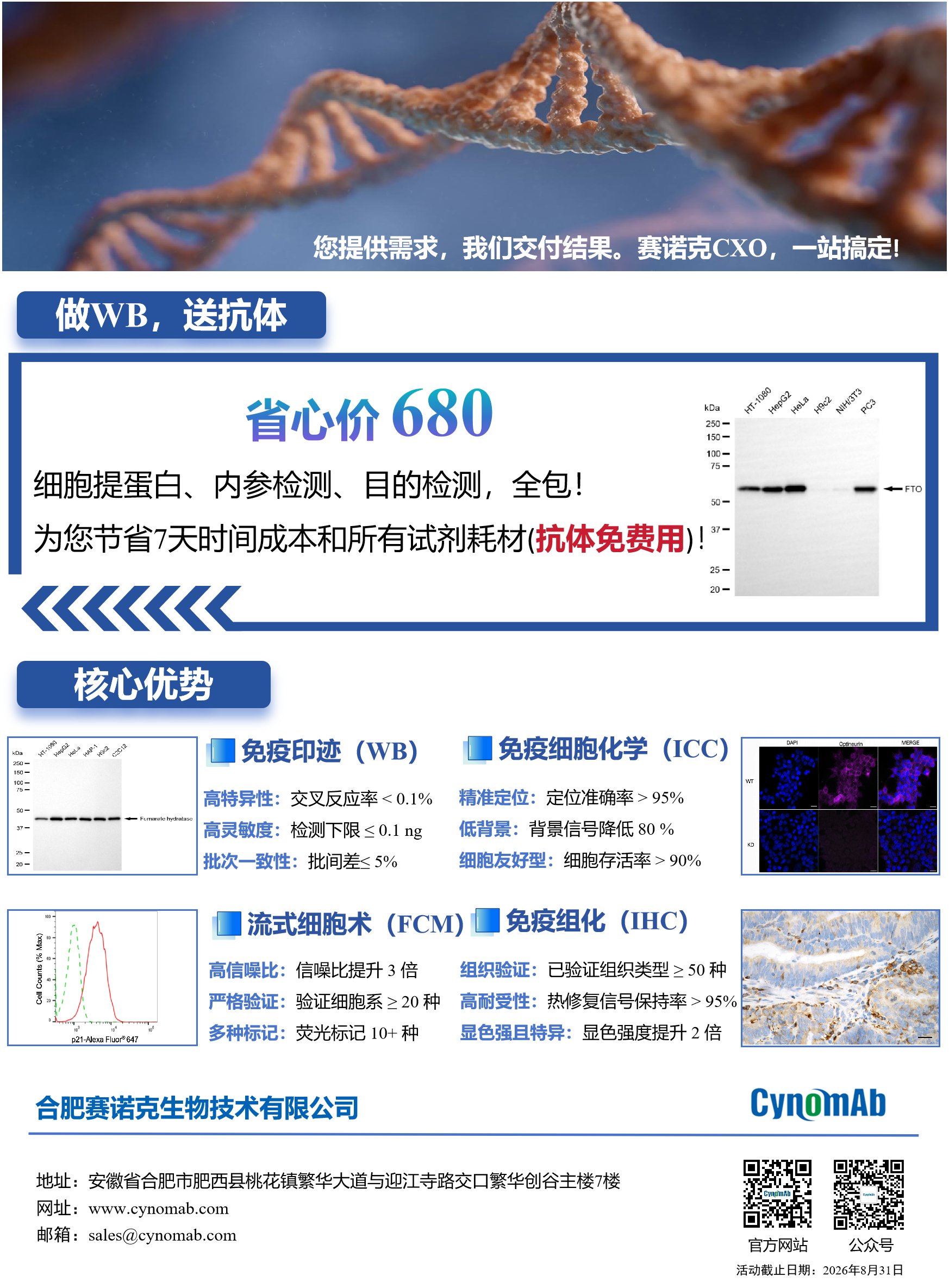 賽諾克生物推出抗體服務新范式：680元“做WB送抗體”，用硬核參數定義國產替代新標準