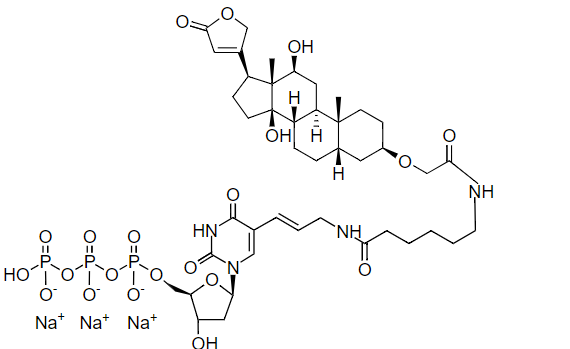 BrUTP*10 mM溶于 TE Buffer*细胞增殖检测 CAS 161848-60-8