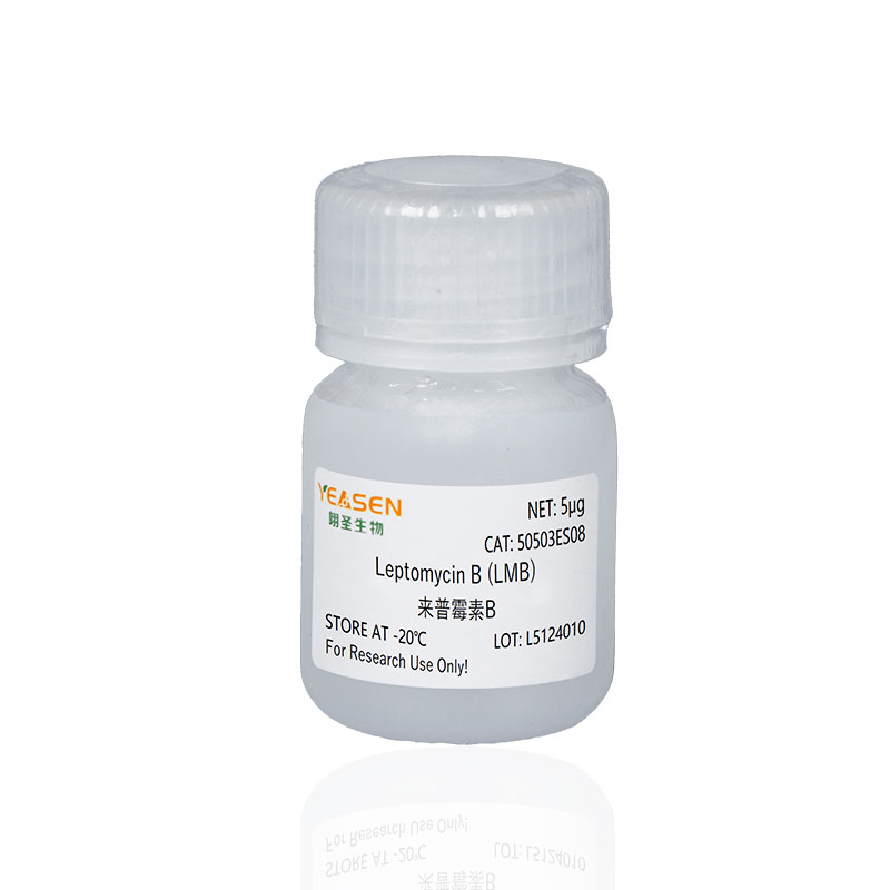 Leptomycin B (LMB ) 来普霉素B