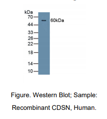 https://msimg.bioon.com/bionline/goods-no-pic.png