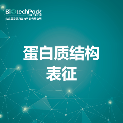 蛋白质结构表征