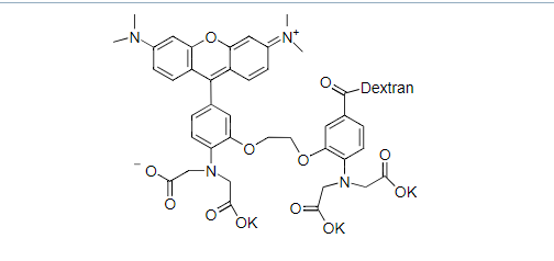 钙离子荧光探针Rhod-2 dextran conjugate *Low affinity with MW 10,000*