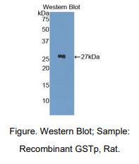 https://msimg.bioon.com/bionline/goods-no-pic.png