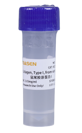 Collagen, Type I (5mg/ml),  from rat tail 鼠尾胶原蛋白I