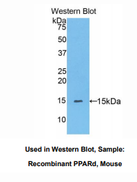 https://msimg.bioon.com/bionline/goods-no-pic.png