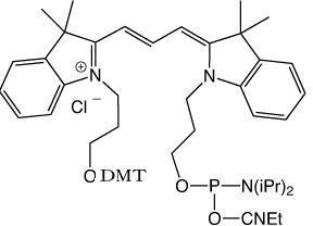 Cy3 Amidite