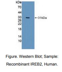 https://msimg.bioon.com/bionline/goods-no-pic.png