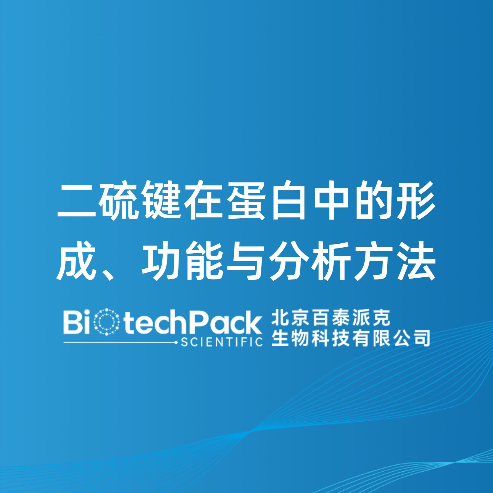 二硫键在蛋白中的形成、功能与分析方法