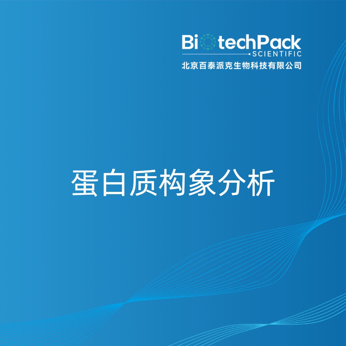 蛋白质构象分析