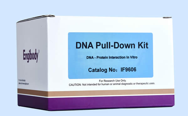 https://img.medsci.cn/3130de052a98e259a93b93bc9ac2c5253c5c2bb0a270ae61f8cfec132b62740f.jpg