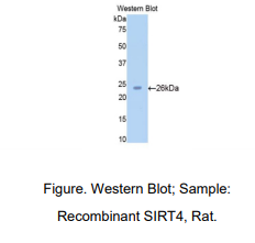 https://msimg.bioon.com/bionline/goods-no-pic.png