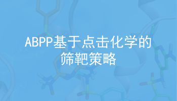 ABPP基于点击化学的筛靶策略