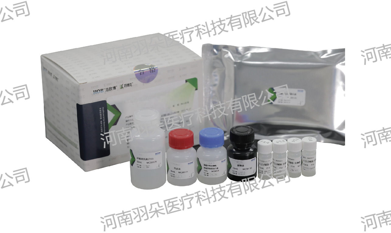 https://img.medsci.cn/9866b9e8190f4daa4b11efa63d94b3857a7e3905b752743149b23ce52139289e.png