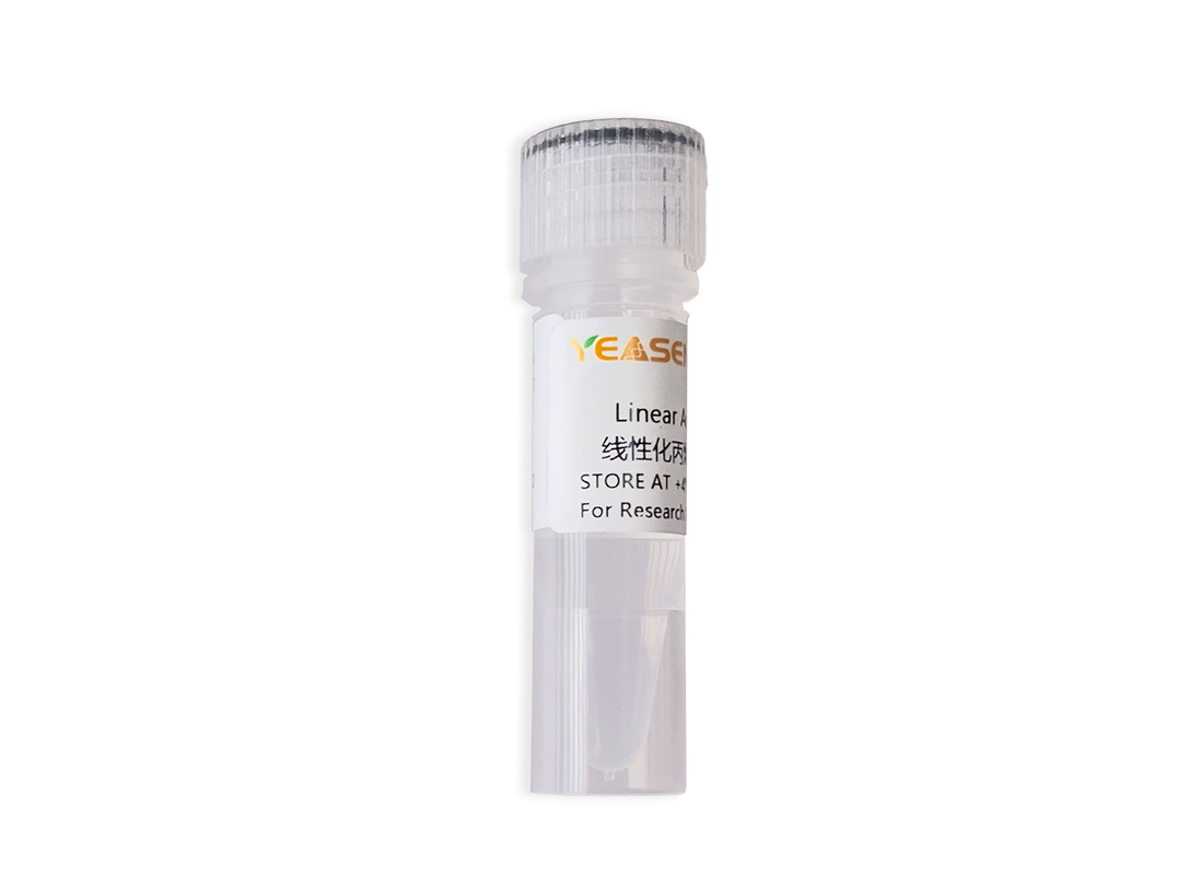 Linear Acrylamide Solution(5 mg/mL) 线性化丙烯酰胺溶液