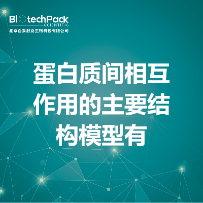蛋白质间相互作用的主要结构模型有