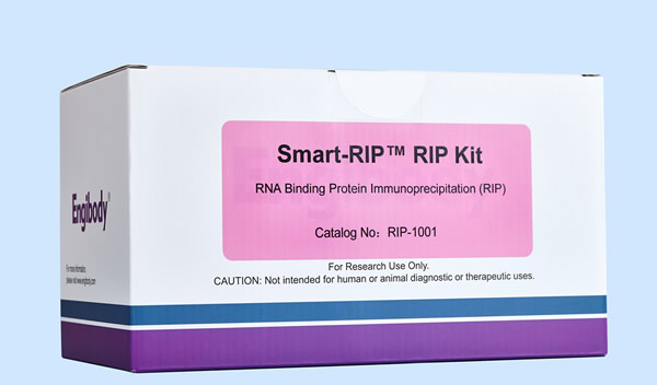 https://img.medsci.cn/3130de052a98e259a93b93bc9ac2c5253c5c2bb0a270ae61f8cfec132b62740f.jpg