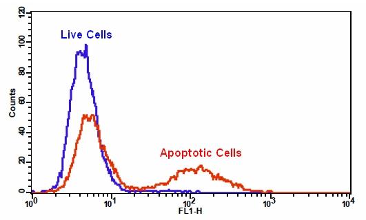 Cell Meter磷脂酰丝氨酸细胞凋亡检测试剂盒 *蓝色荧光 激发于405nm*