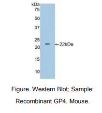 https://msimg.bioon.com/bionline/goods-no-pic.png