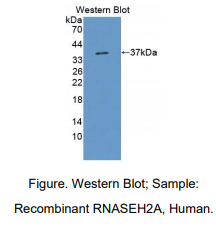 https://msimg.bioon.com/bionline/goods-no-pic.png