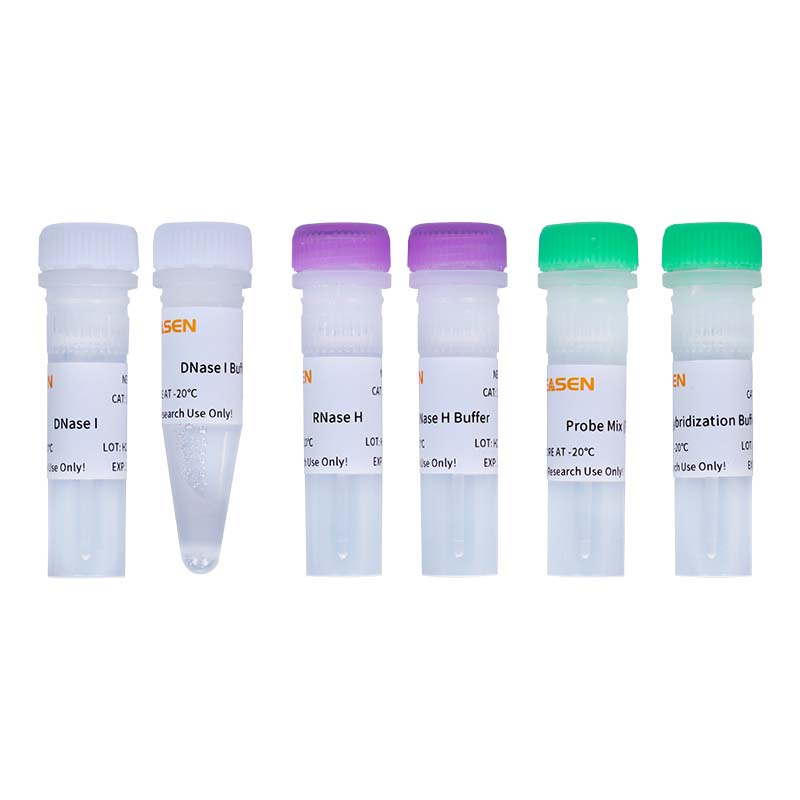 Hieff NGS® MaxUp rRNA Depletion Kit (Plant)