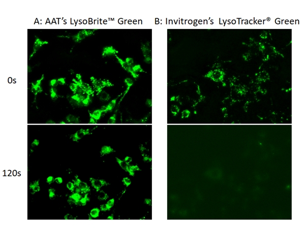 https://img.medsci.cn/e73eefcea40976357f460123cbf1e819c54e5106c9b457225be13b1cbc991aff.png