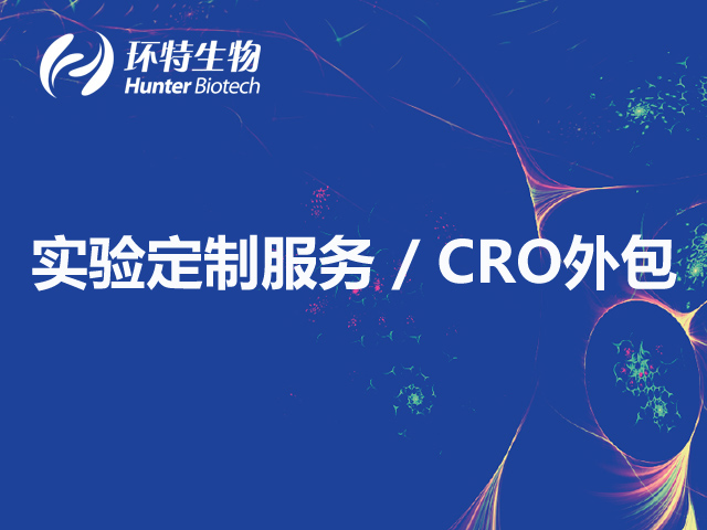 斑马鱼/大小鼠模型实验-CRO外包实验-项目服务定制