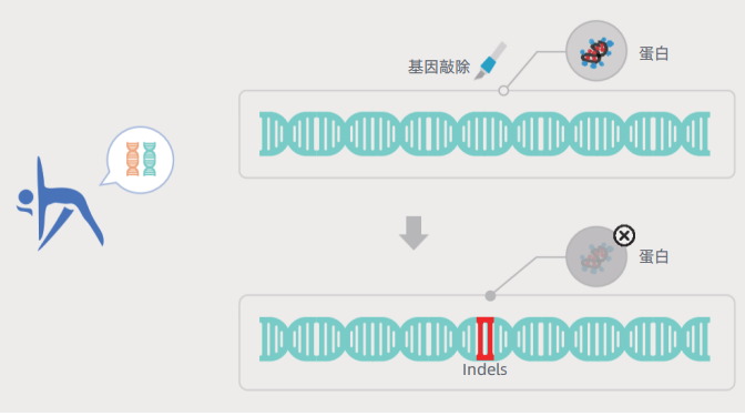 https://img.medsci.cn/3687a80f58cbb13817b000a8118703a5d5c3c40c1e42a31a21d5ea37e2522dcb.jpg