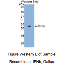 https://msimg.bioon.com/bionline/goods-no-pic.png