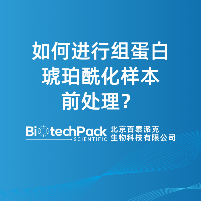 如何进行组蛋白琥珀酰化样本前处理？