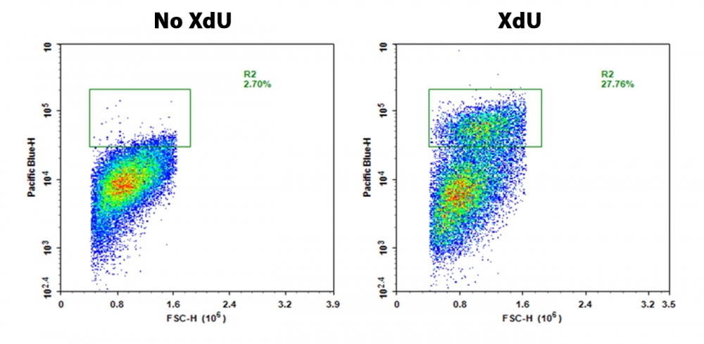 https://img.medsci.cn/e73eefcea40976357f460123cbf1e819c54e5106c9b457225be13b1cbc991aff.png