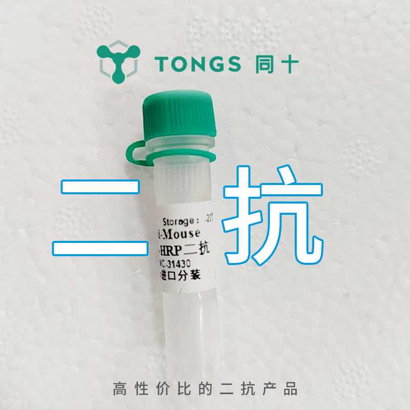 Goat anti-Mouse IgG (H+L)二 抗 ， HRP